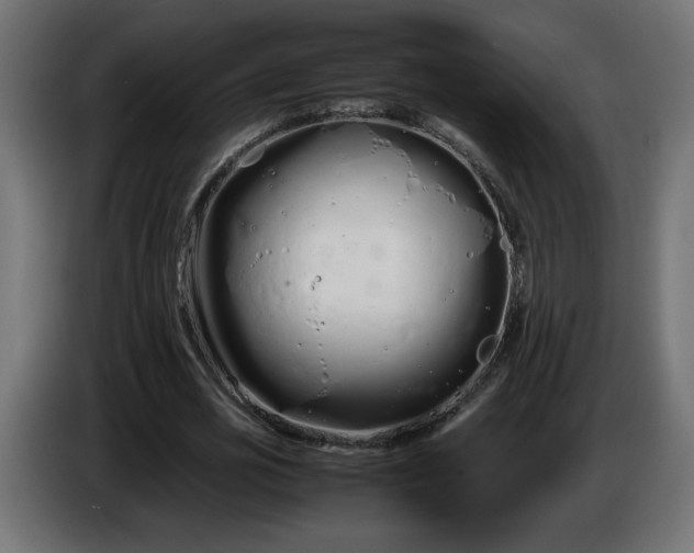 X0000086330725200704131719