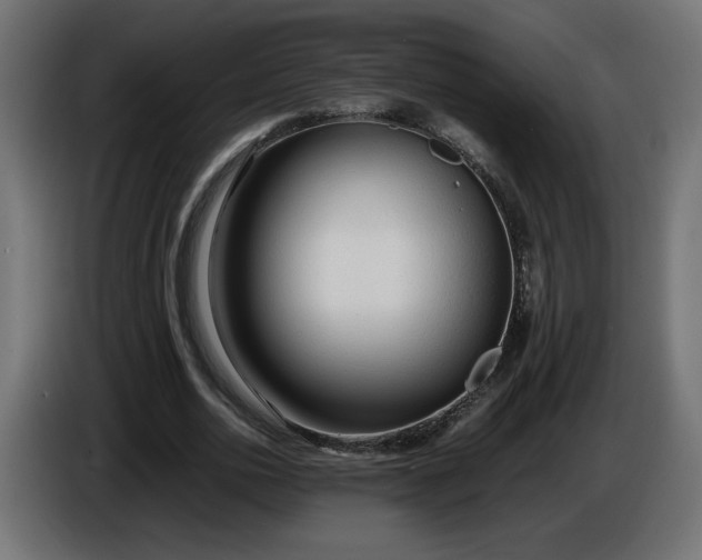 X0000086330726200704131719