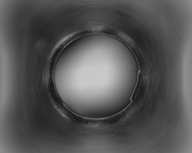 X0000086330728200704131719