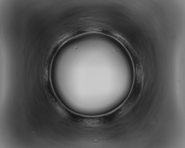 X0000086330729200704131719