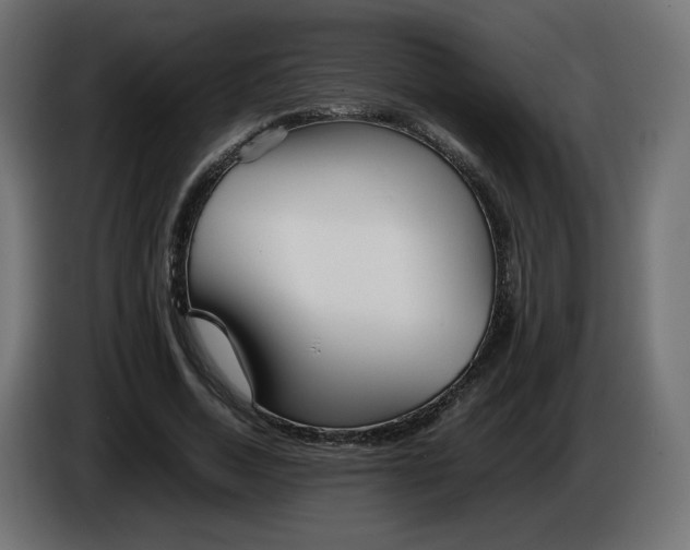 X0000086330730200704131719