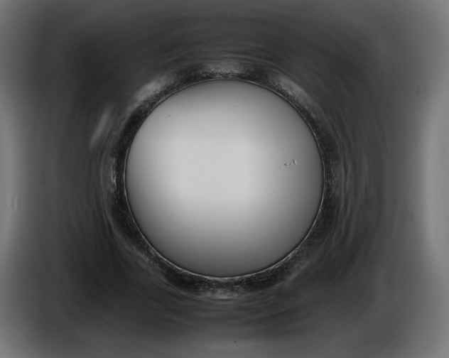 X0000086330731200704131719