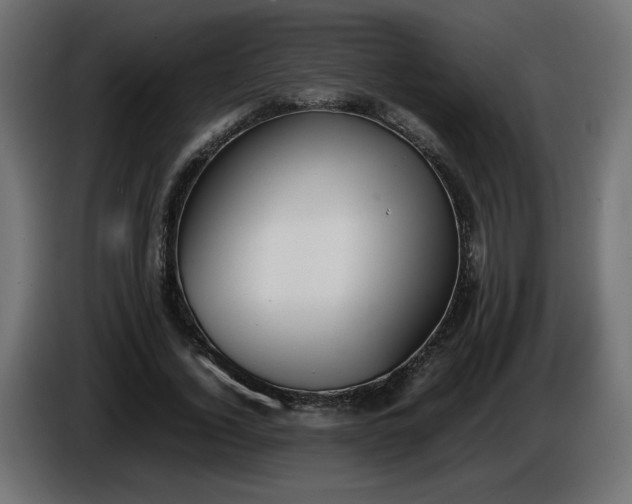 X0000086330732200704131719