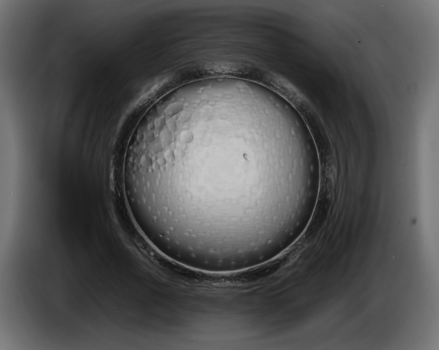 X0000086330734200704131719