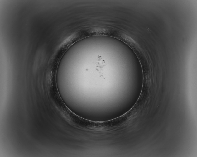 X0000086330735200704131719