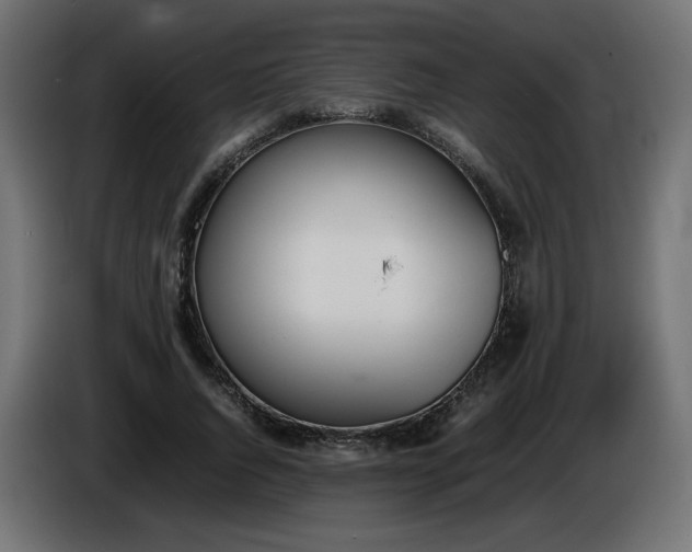 X0000086330736200704131719