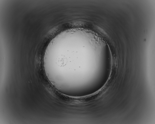 X0000086330737200704131719