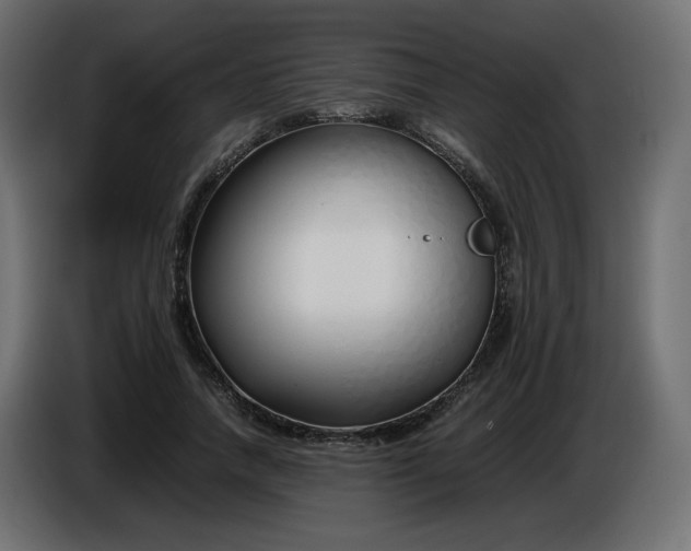 X0000086330738200704131719