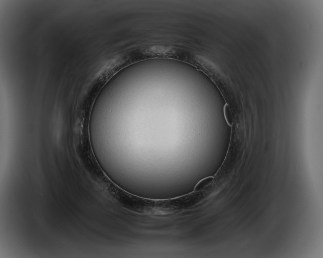 X0000086330739200704131719