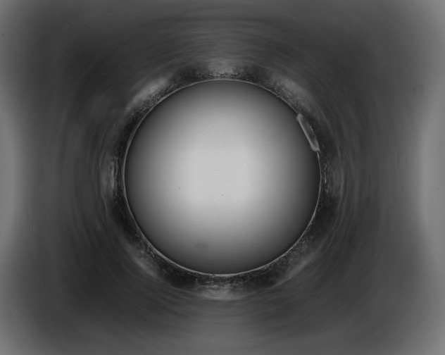 X0000086330740200704131719