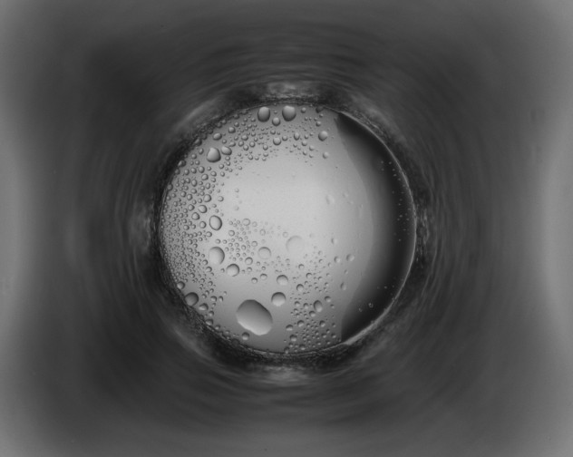 X0000086330741200704131719