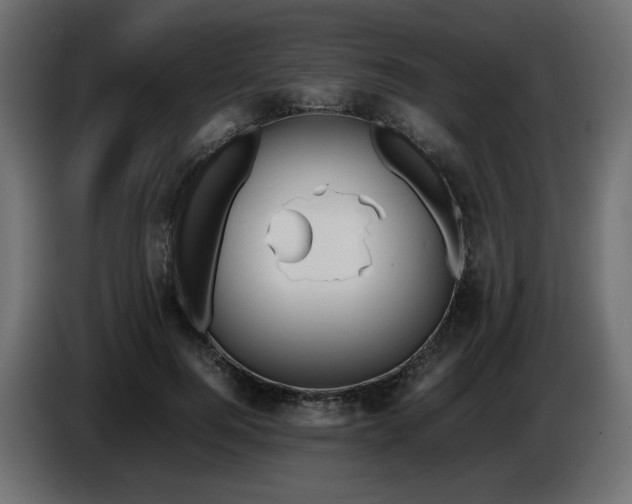 X0000086330744200704131719