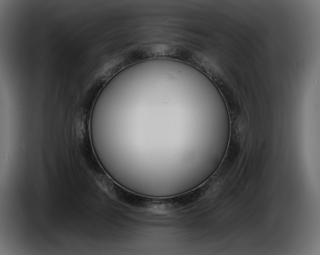 X0000086330746200704131719