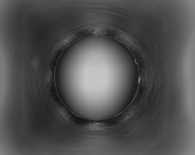 X0000086330748200704131719