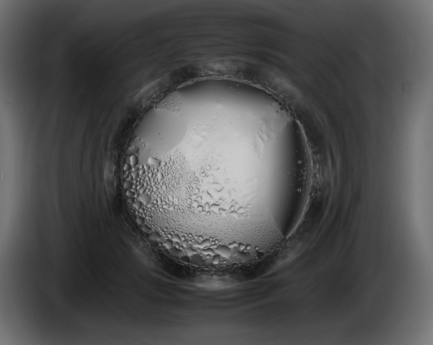 X0000086330749200704131719