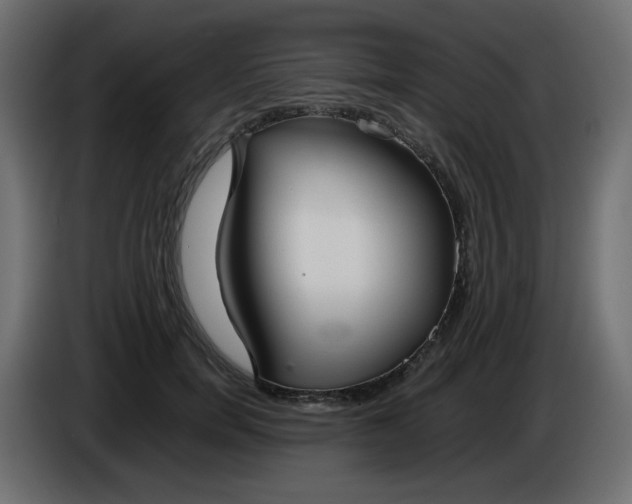 X0000086330750200704131719