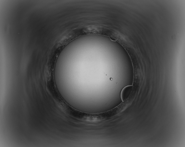 X0000086330751200704131719