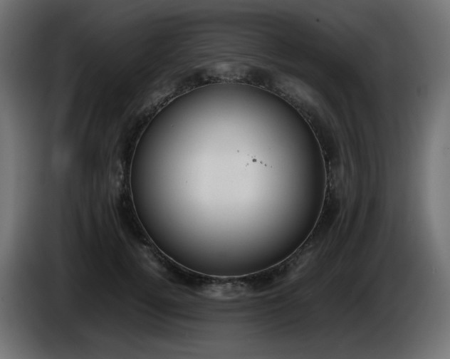 X0000086330752200704131719