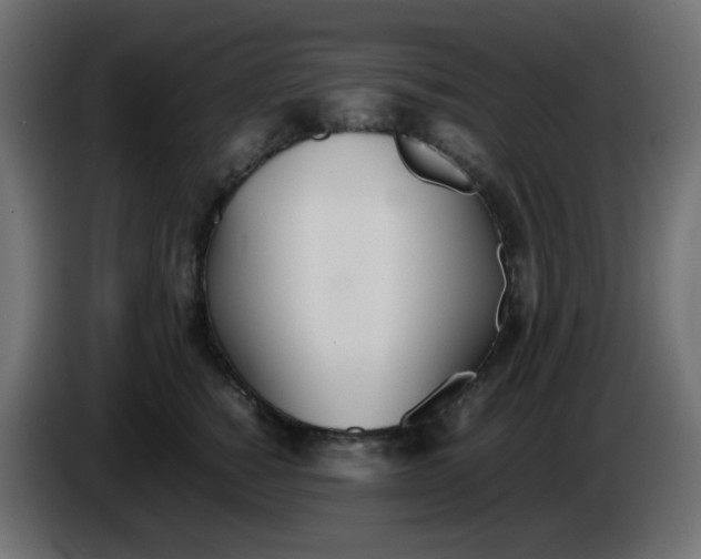 X0000086330760200704131719