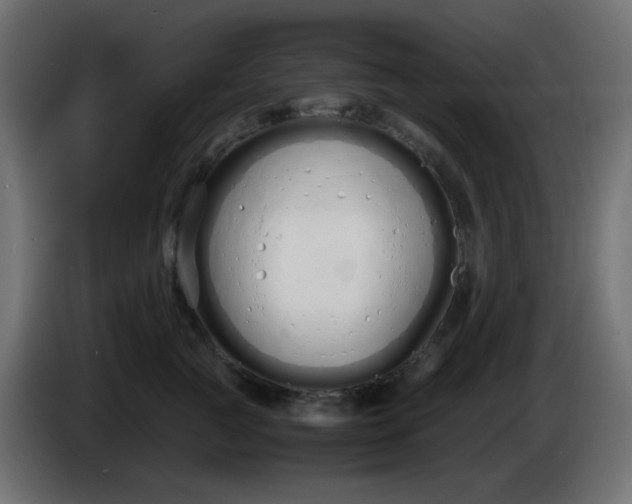 X0000086330761200704131719