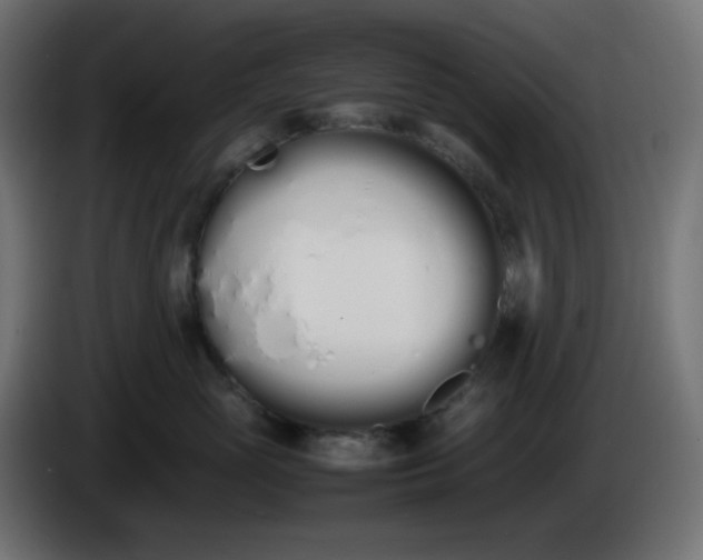 X0000086330765200704131719