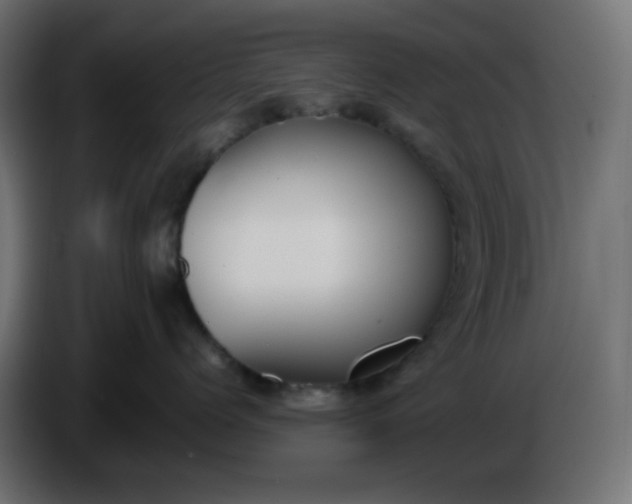 X0000086330768200704131719