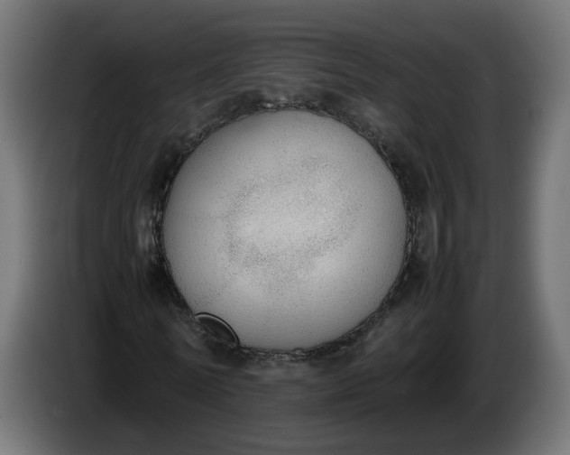 X0000086330770200704131718