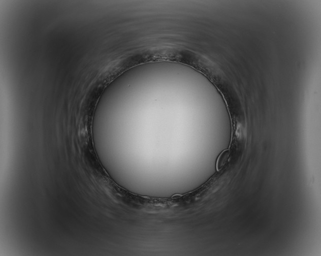 X0000086330771200704131718