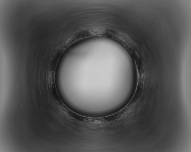 X0000086330772200704131718