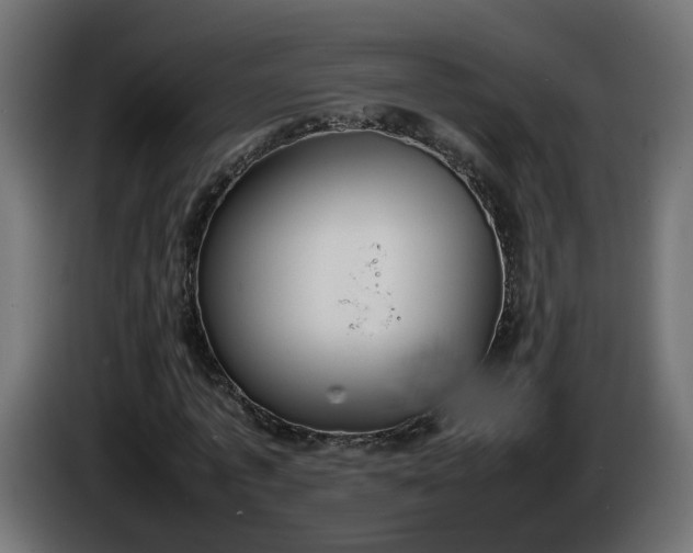 X0000086330773200704131718