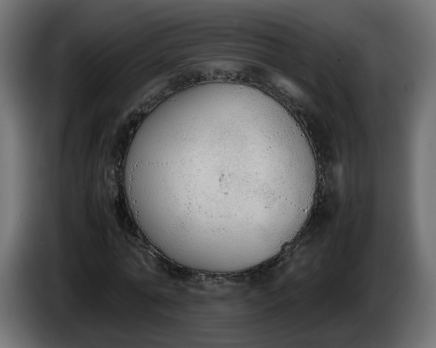 X0000086330774200704131718