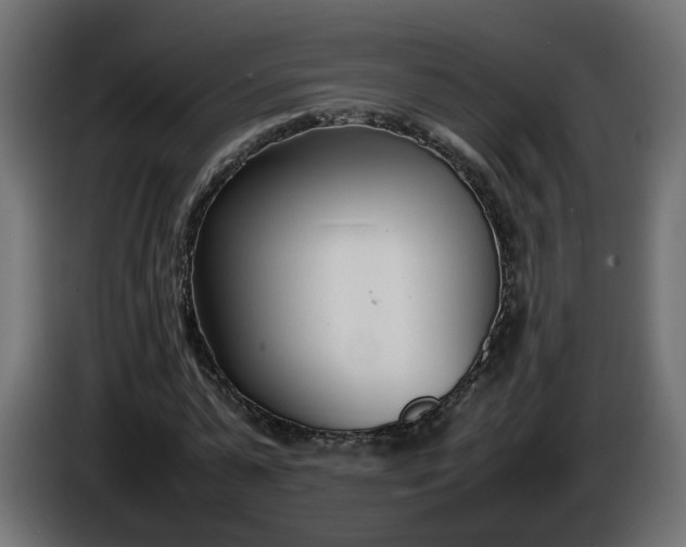 X0000086330775200704131718