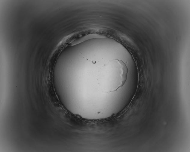 X0000086330776200704131718