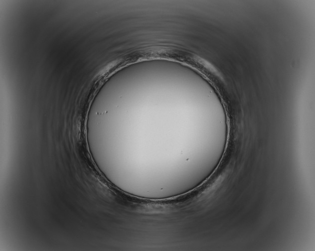 X0000086330777200704131718