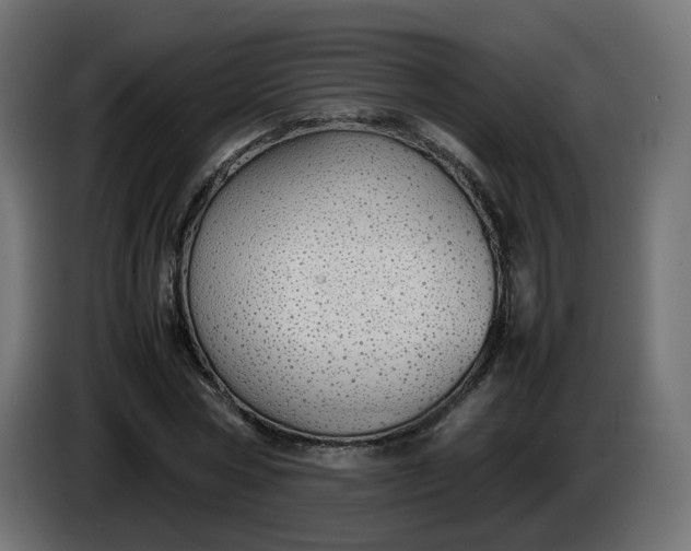 X0000086330778200704131718