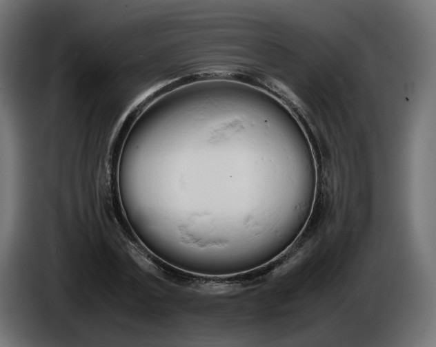 X0000086330779200704131718