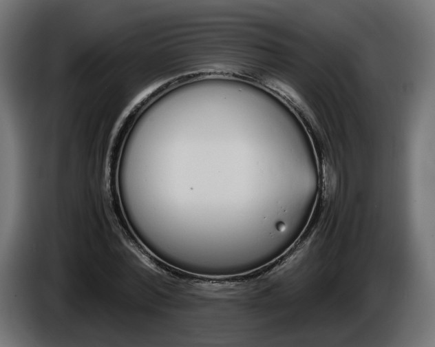 X0000086330780200704131718