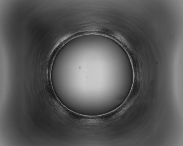 X0000086330781200704131718