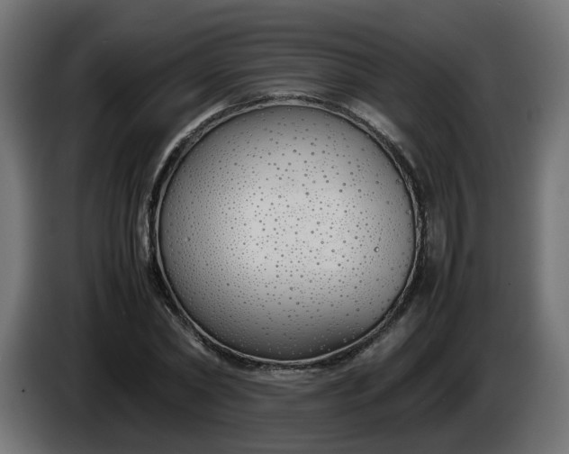 X0000086330782200704131718