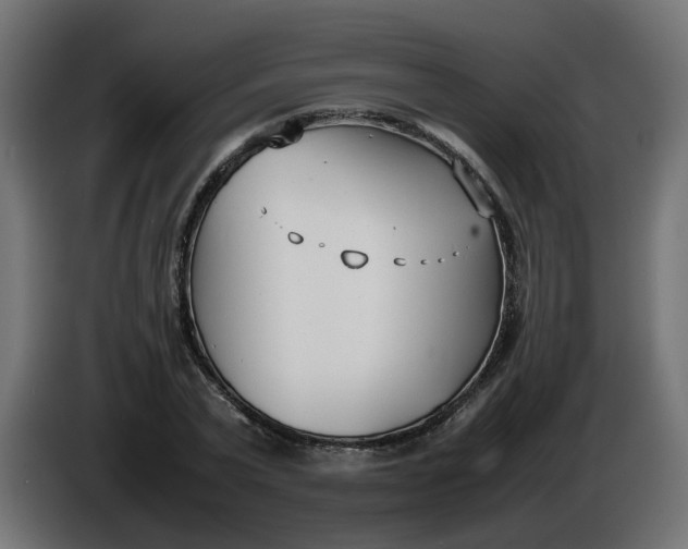 X0000086330783200704131718