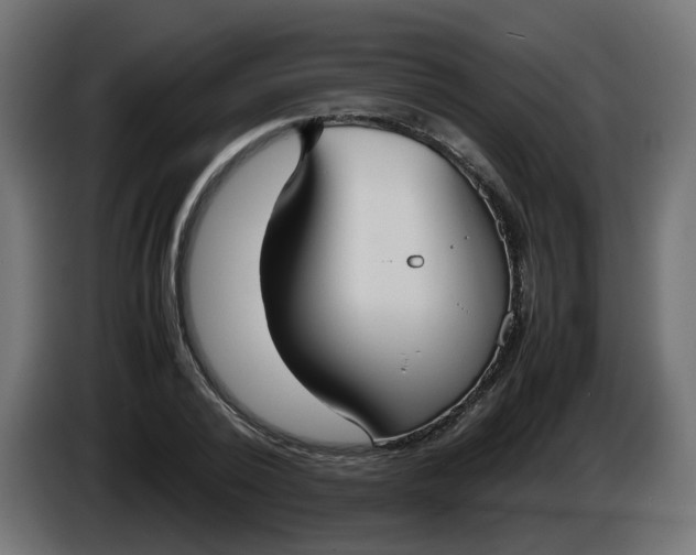 X0000086330784200704131718