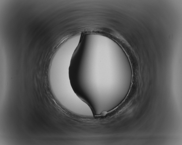 X0000086330785200704131718