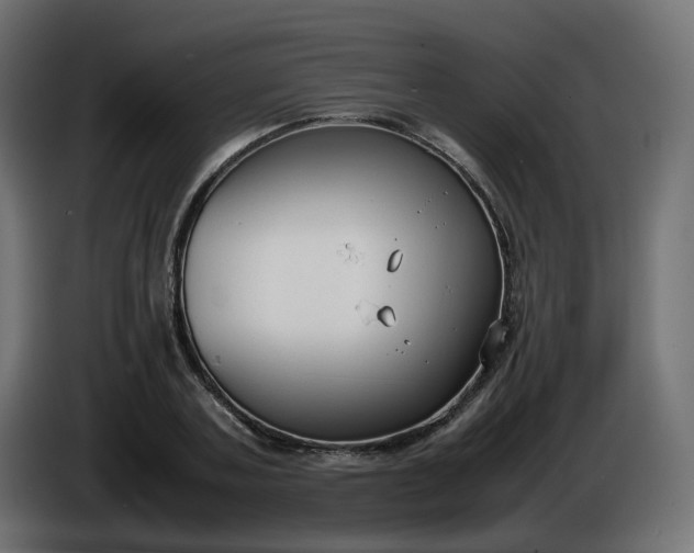 X0000086330787200704131718