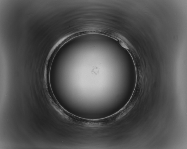 X0000086330788200704131718