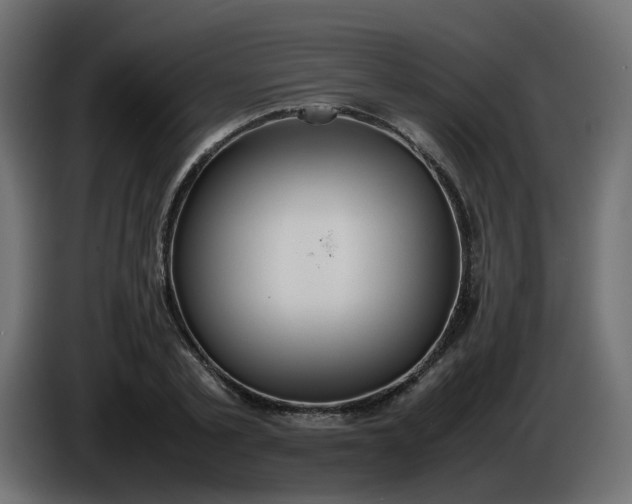 X0000086330789200704131718