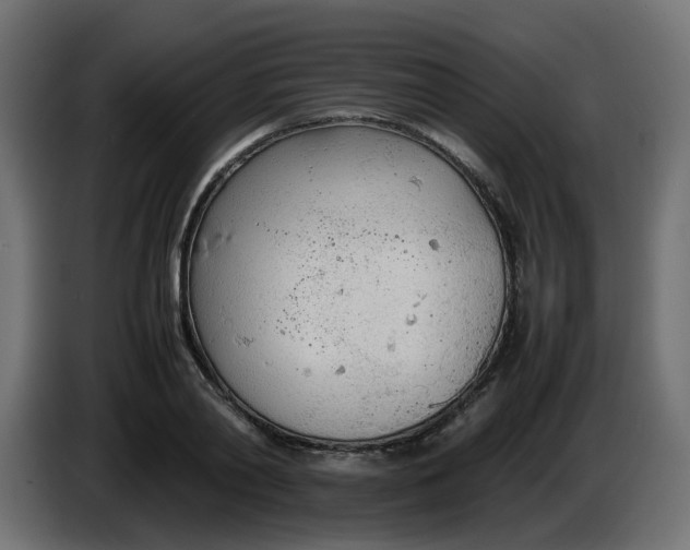 X0000086330790200704131718