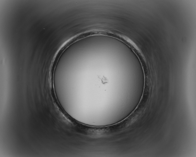 X0000086330791200704131718