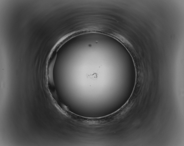 X0000086330792200704131718