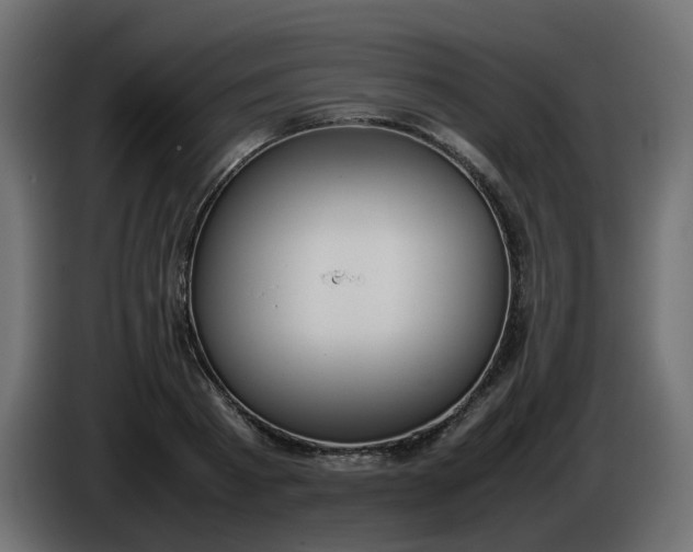 X0000086330793200704131718