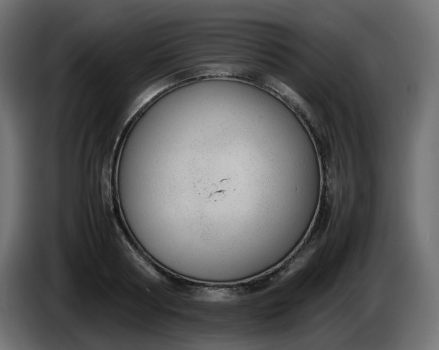 X0000086330794200704131718